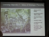 219-IMG_1687